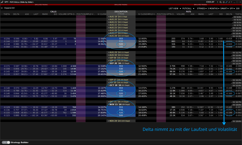 Optionskette in der Interactive Brokers Trader Workstation aufgeklappt